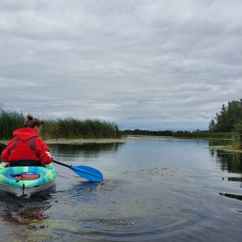 Kayak