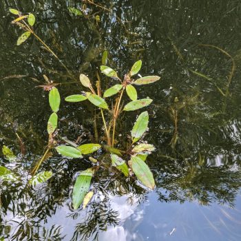 PXL_20230817_171226088